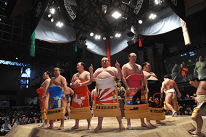 Real Sumo