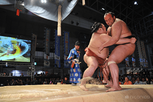 Real Sumo