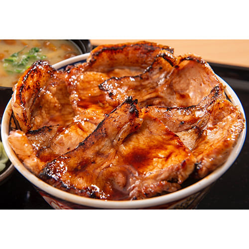 北海道十勝豚丼