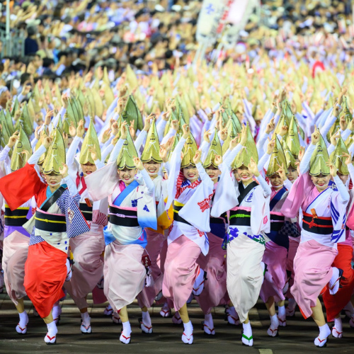 阿波おどり振興協会選抜連