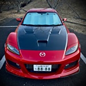 冨士島(ふじしま)三百馬力