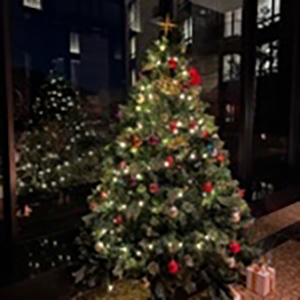 きらめきシュガー