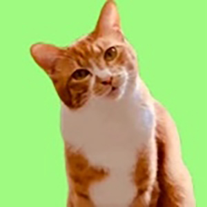 チャーマンカーン