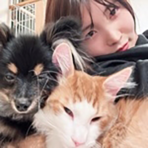 あいがみーこころん