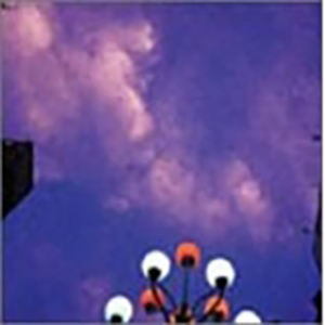 せるろいどのかみさま